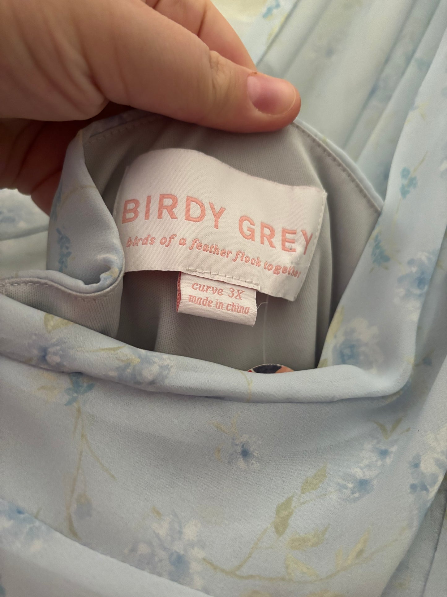 Size 20 baby blue floral Birdy Grey dress - long formal