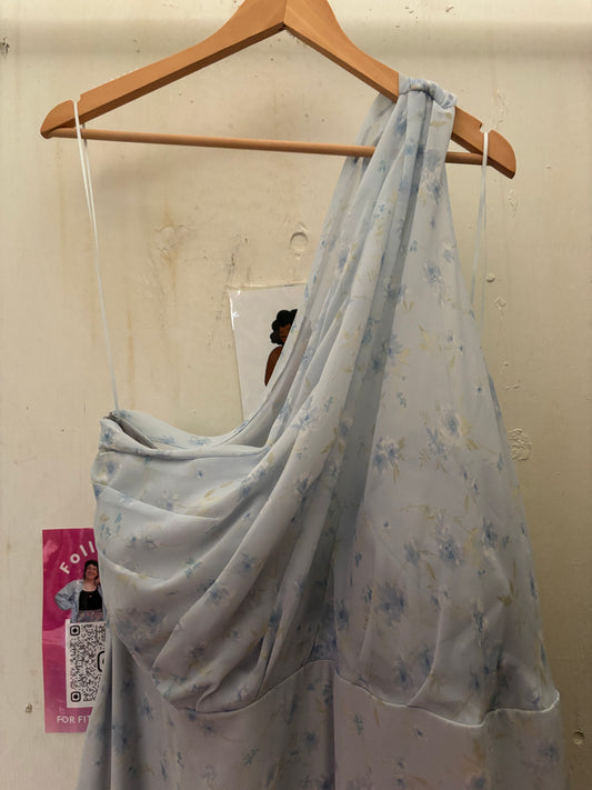 Size 20 baby blue floral Birdy Grey dress - long formal