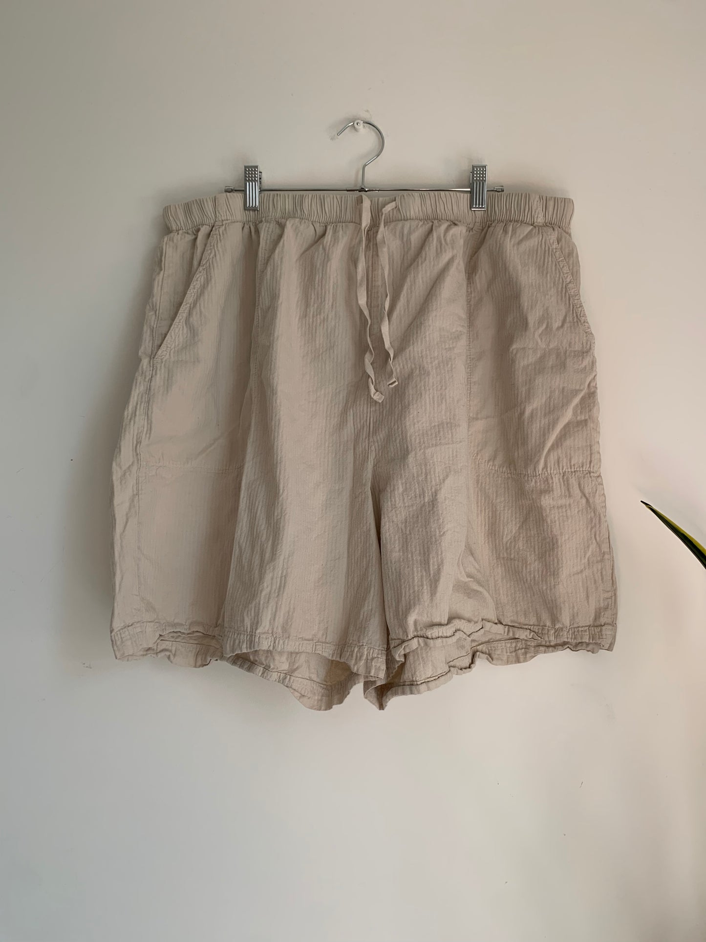 Size 2X Cotton Ginny Shorts
