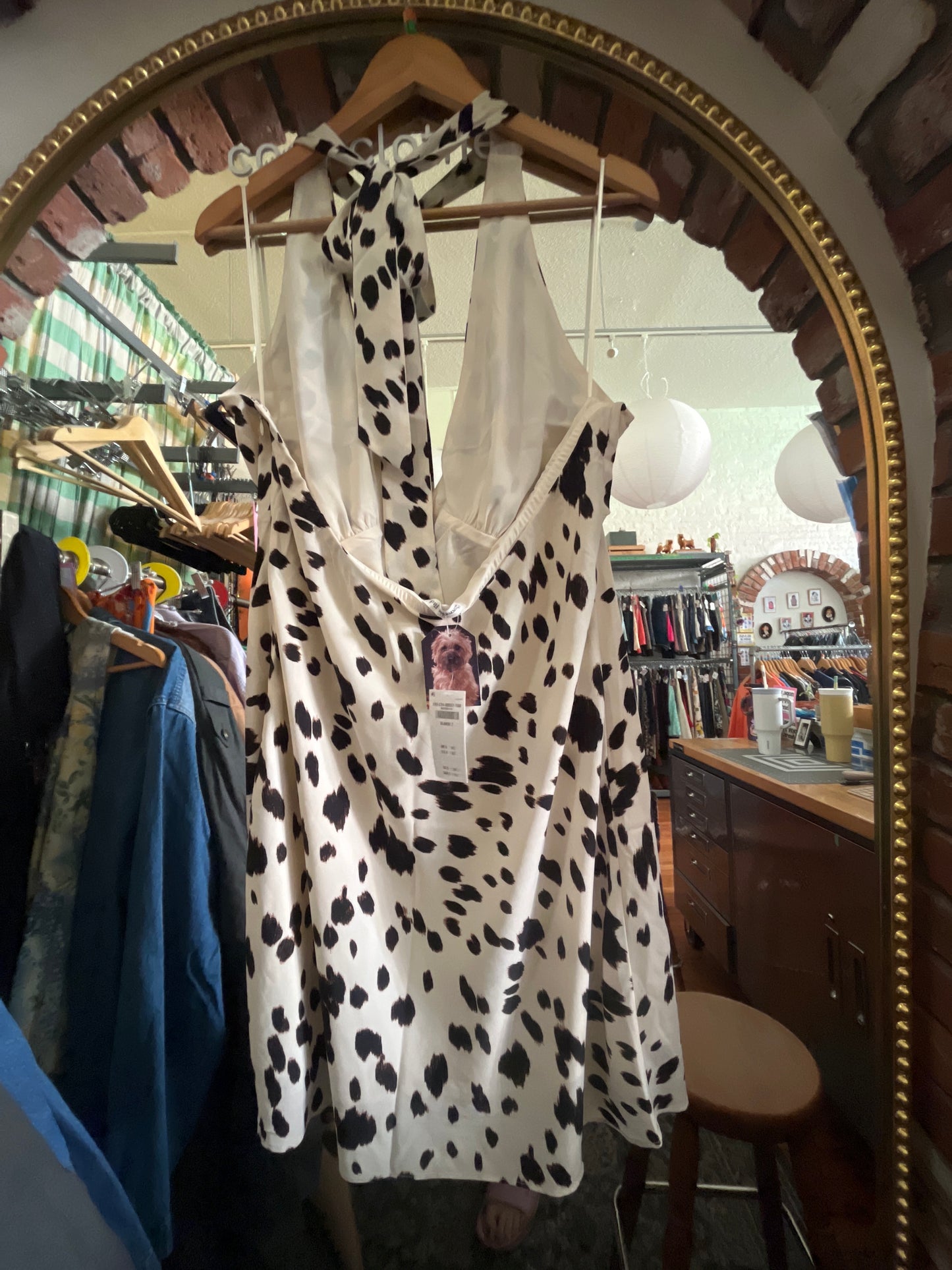 size XLT cream satin with cow print Abercrombie & Fitch dress - halter