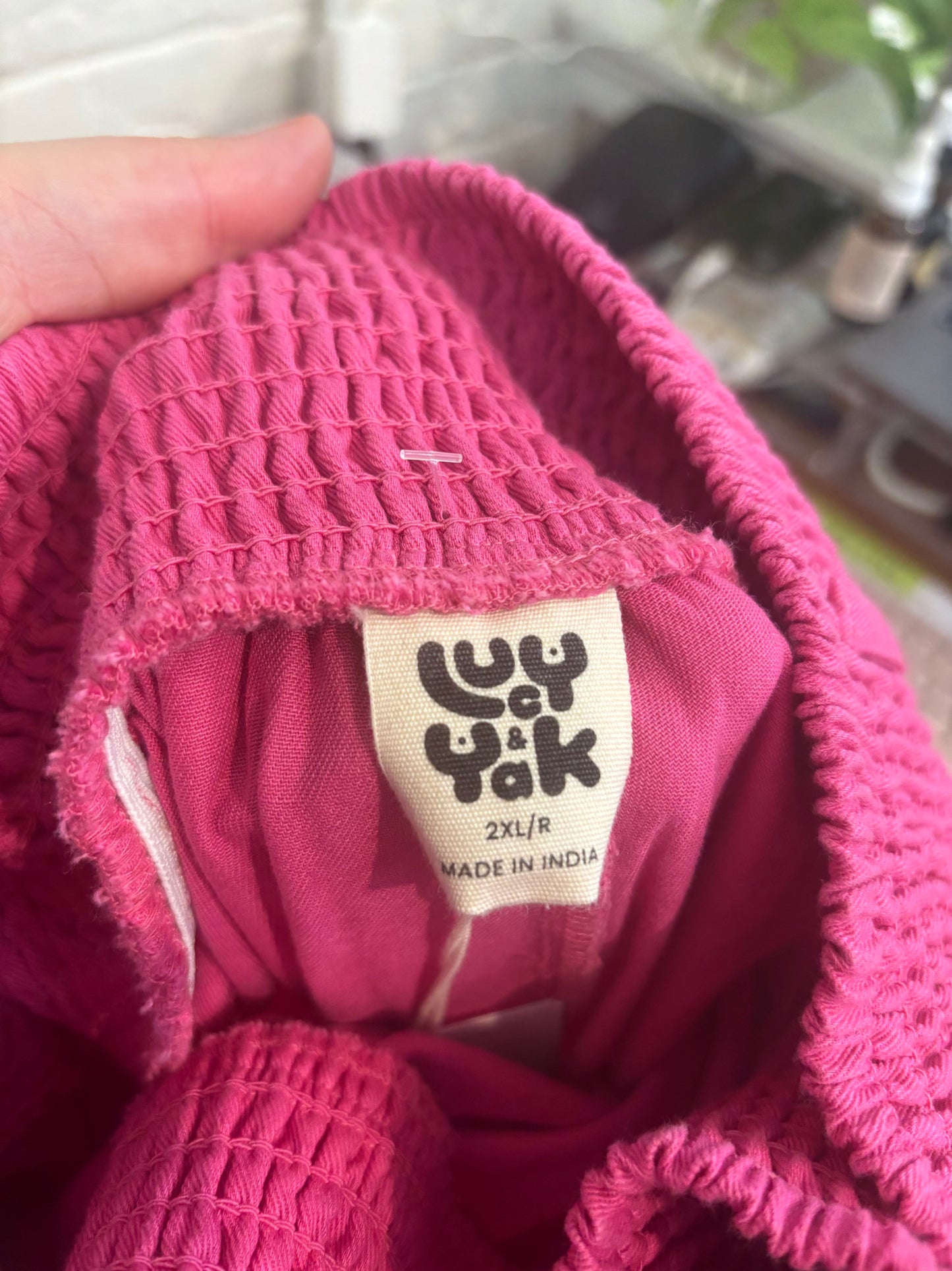size 2X pink Lucy & Yak Alexa Trouser - NWT