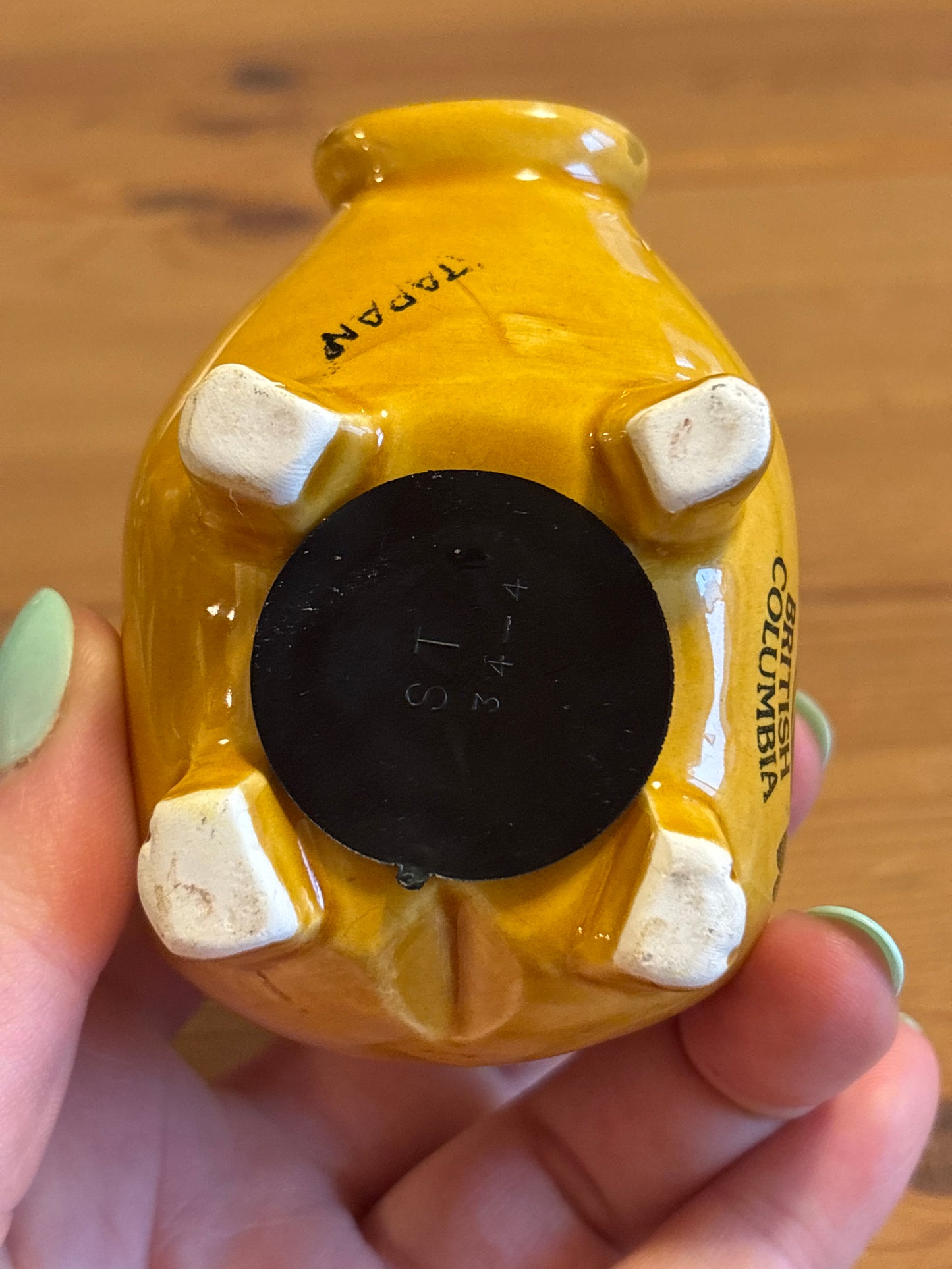 RARE VINTAGE British Columbia ceramic piggy bank