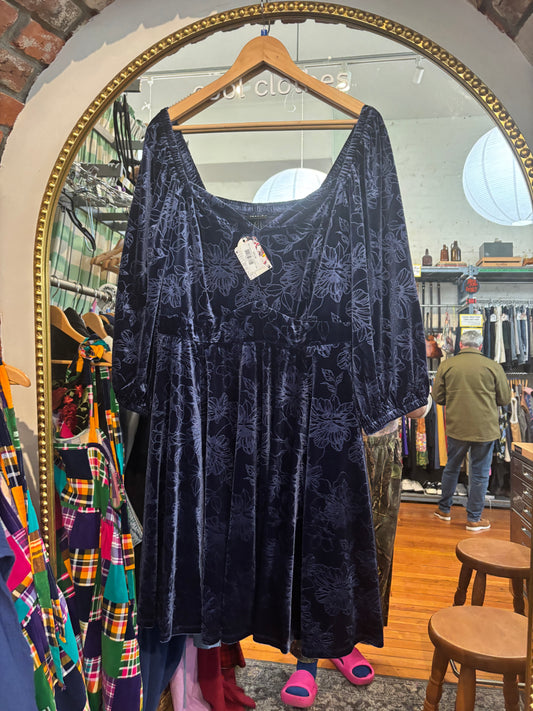 size 2 navy burnout NWT Torrid dress - knee