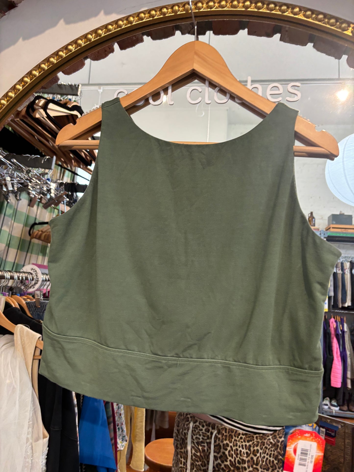 size 3X green sage - AS IS Free Label bra - dani
