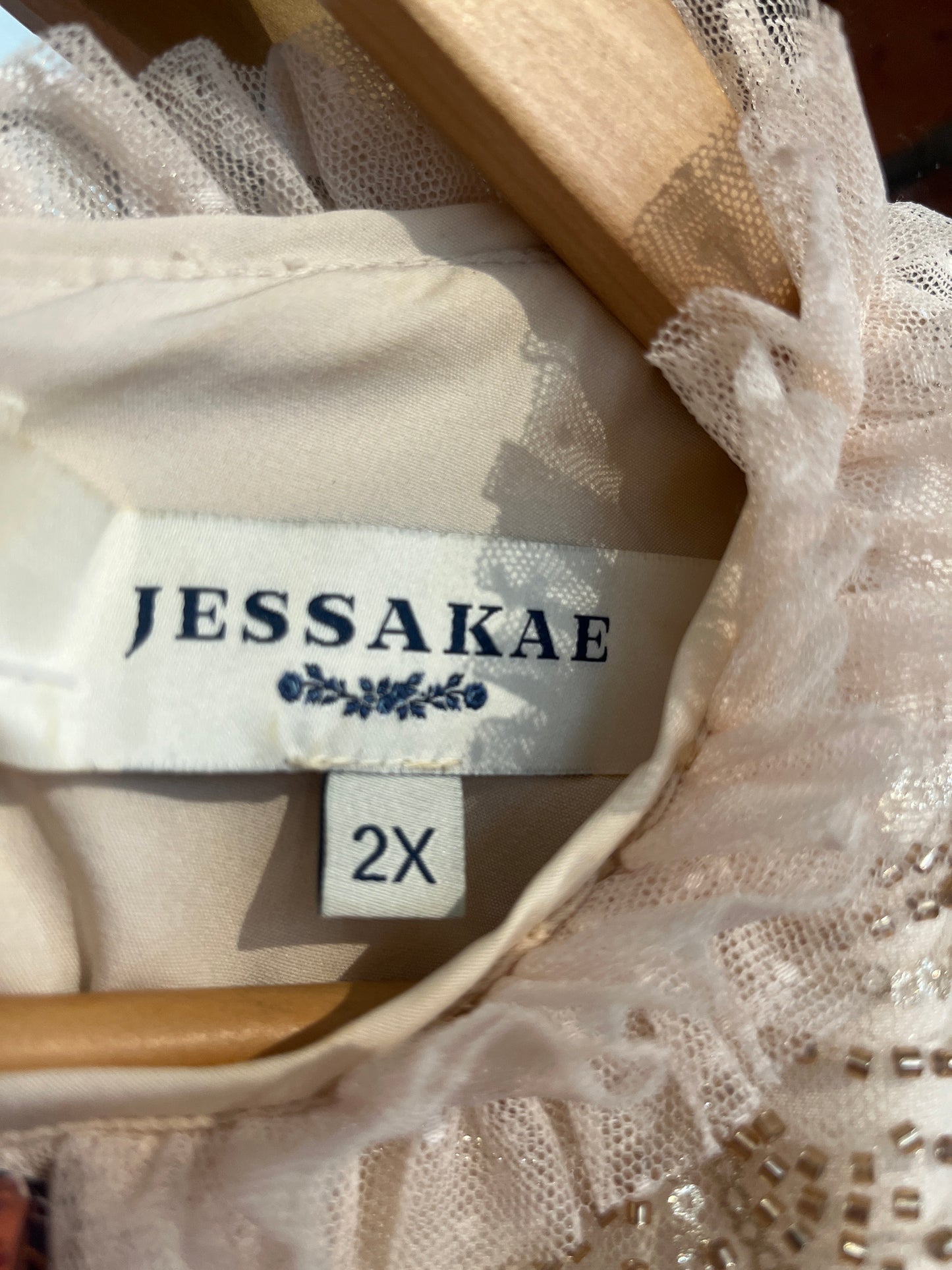 size 2X champagne sheer overlay sequins Jessakae dress - mid