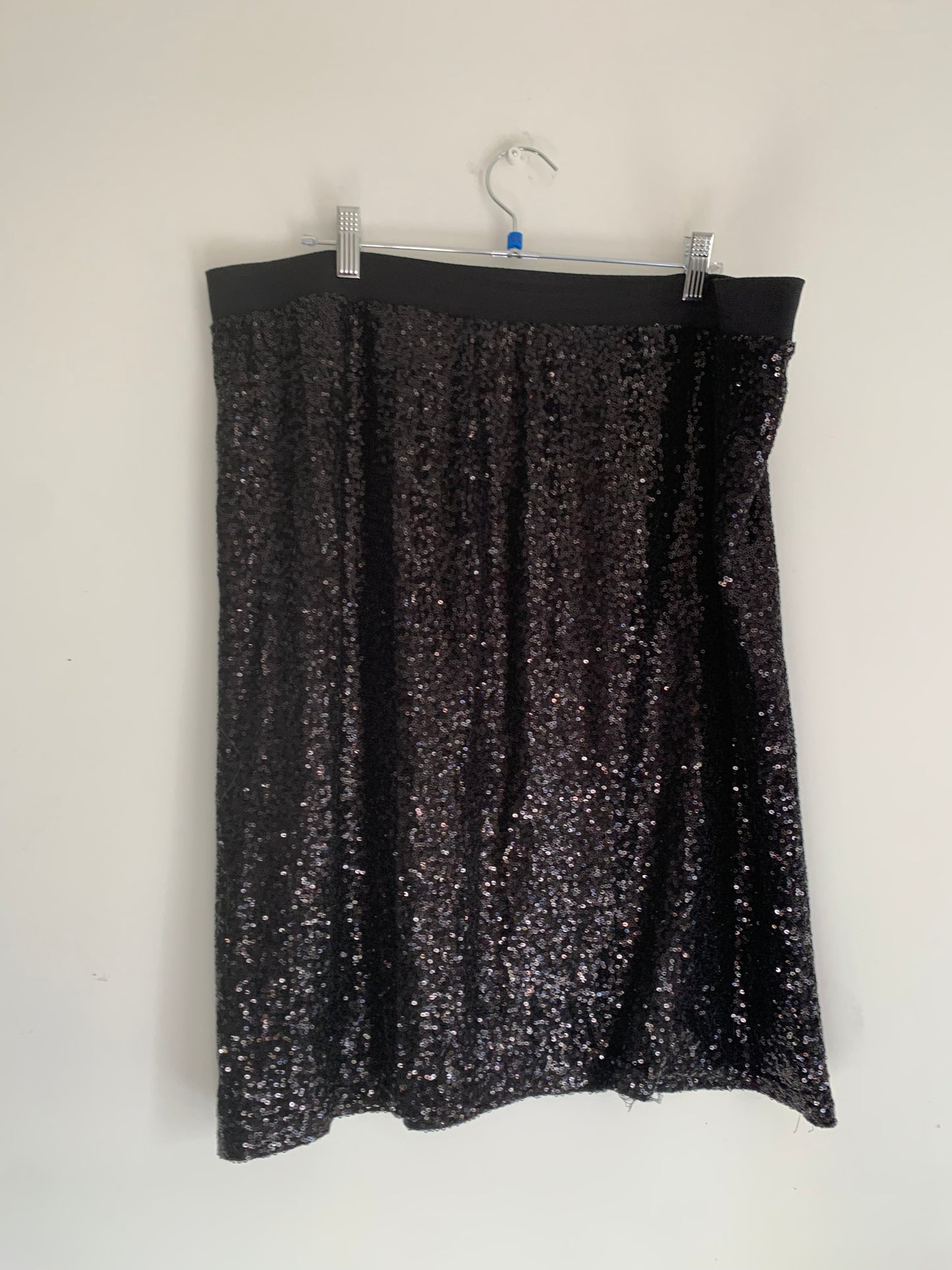 Size 1X Sequin Skirt