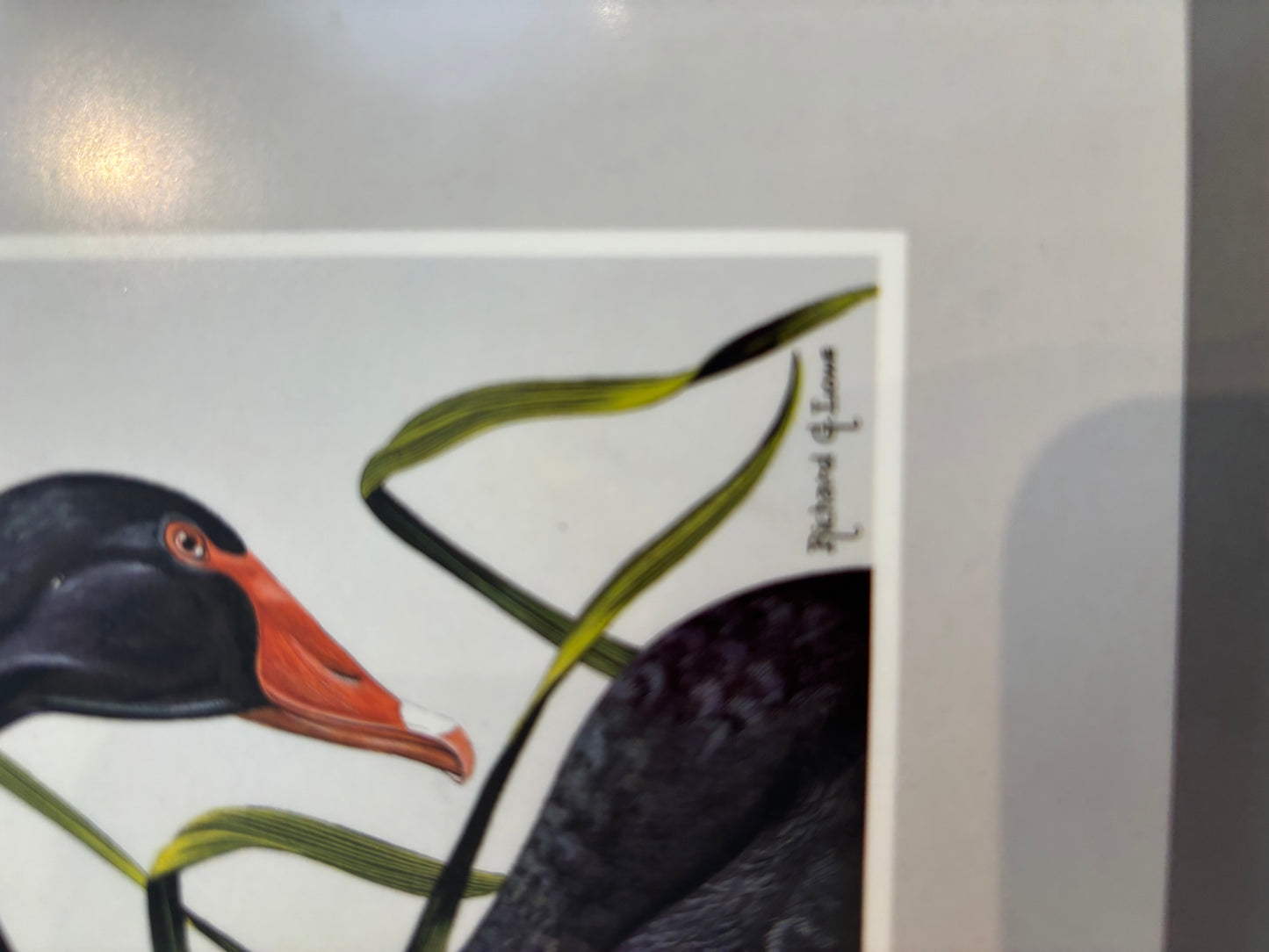 vintage pimpernel bird placemats