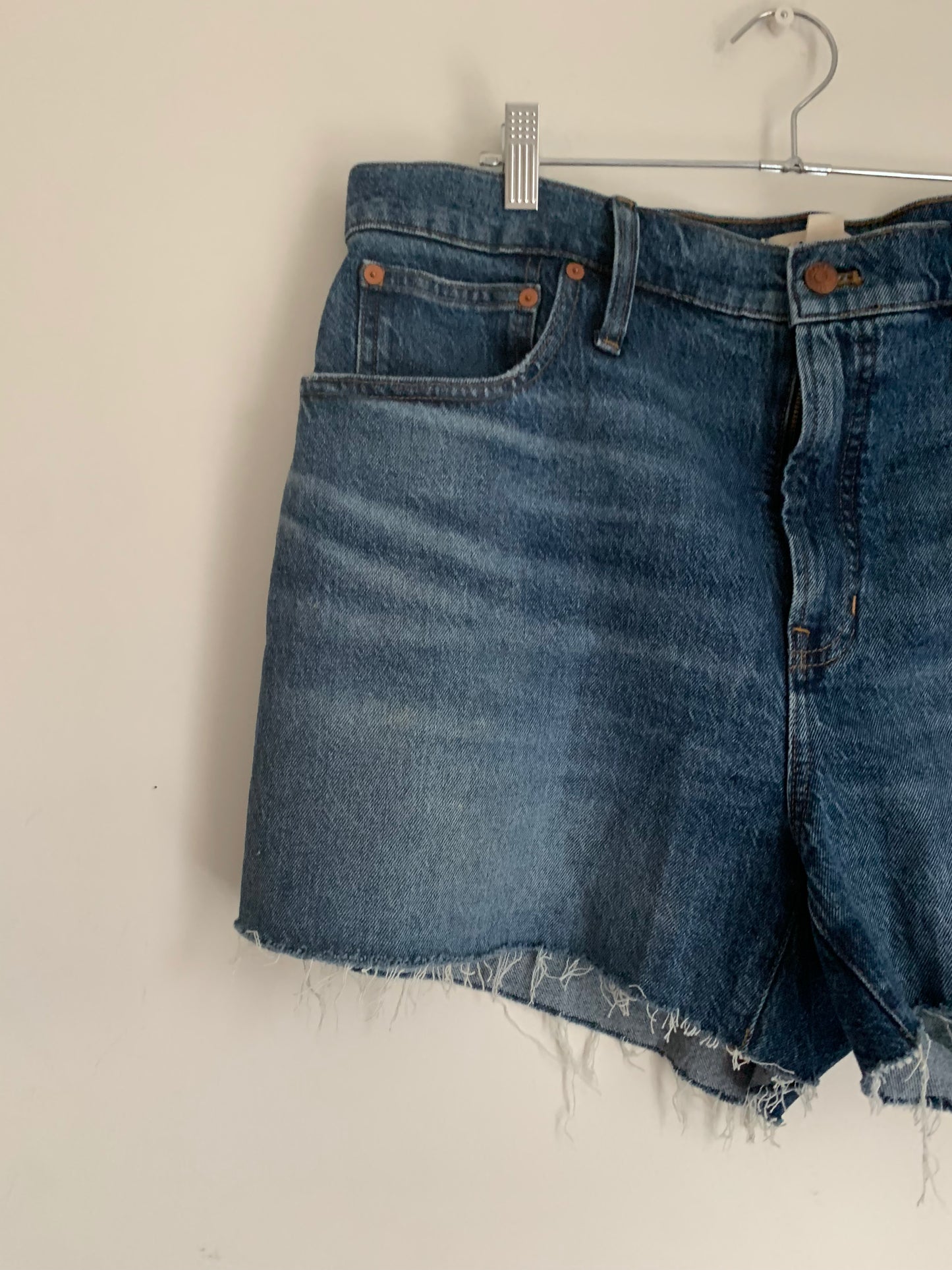 Size 33 Denim Madewell Shorts