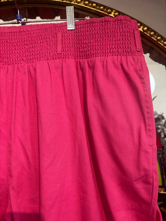size 2X pink Lucy & Yak Alexa Trouser - NWT