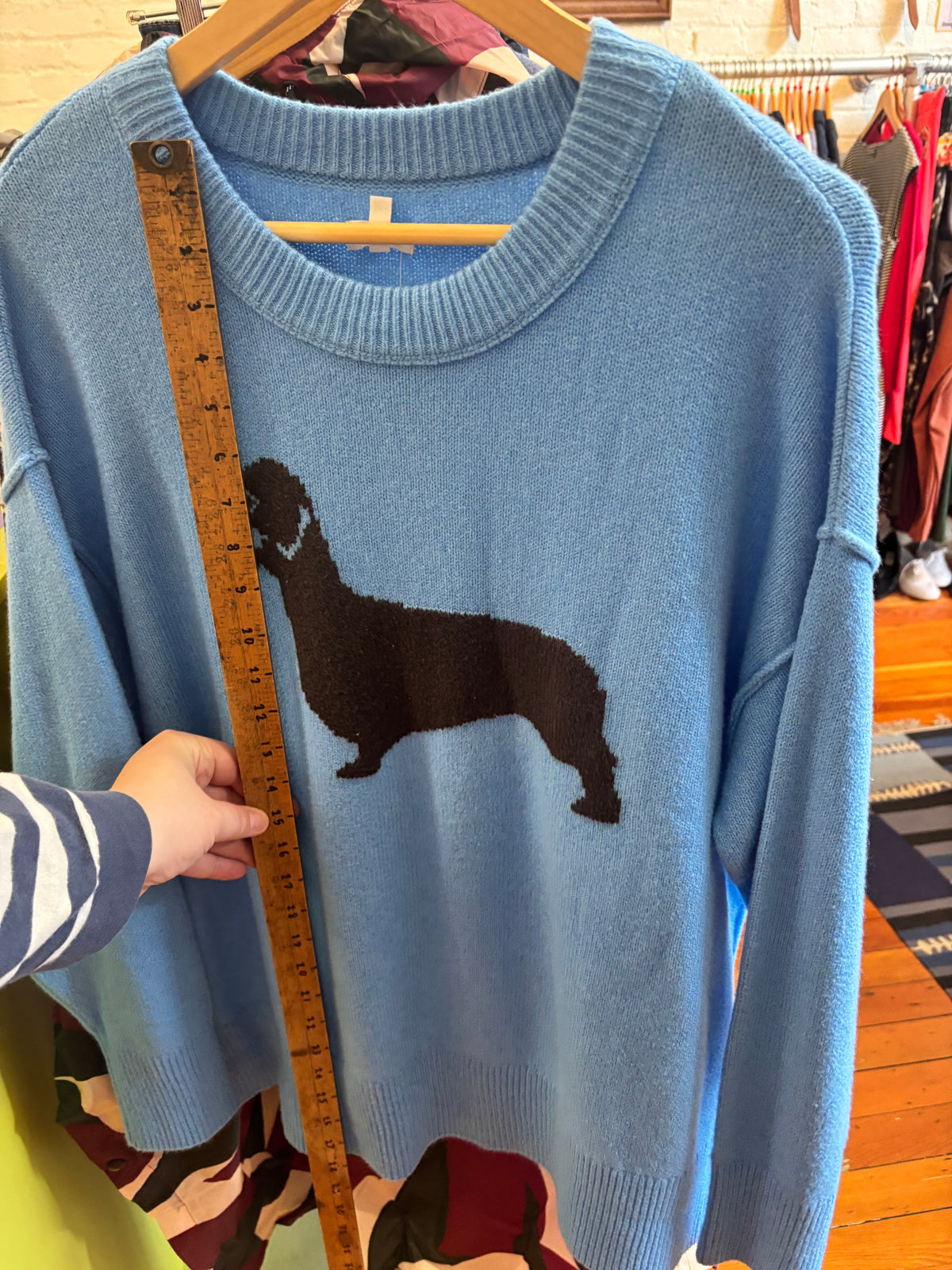 size L-1X blue with wiener dog American Eagle sweater - knit