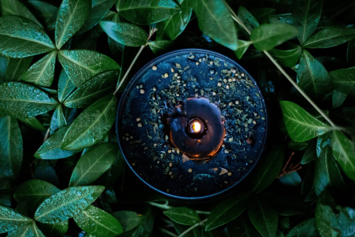 Maleficia Banish & Hex