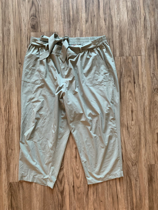 Size 3X lightweight pants