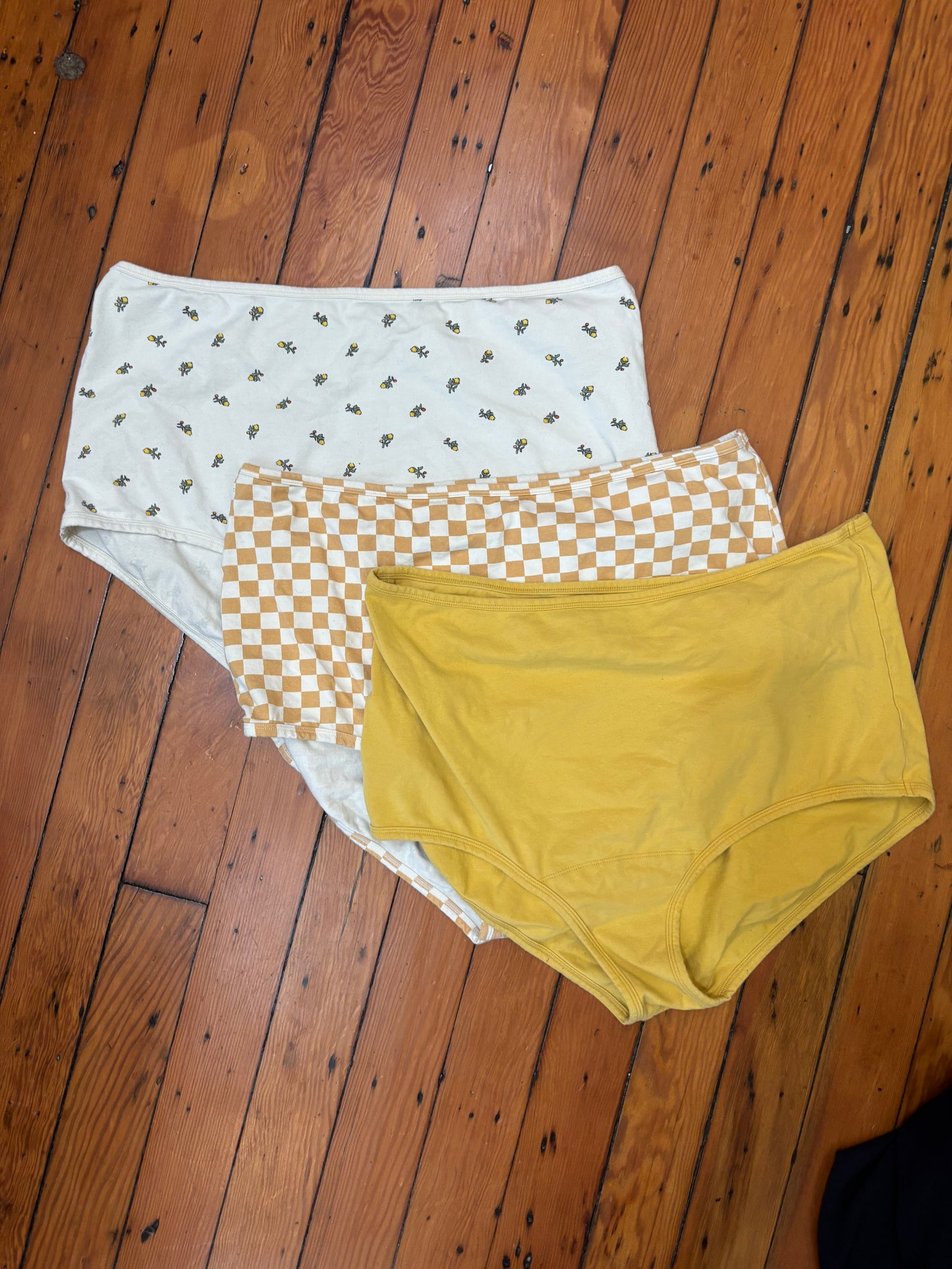 size 5X Arq undies bundle