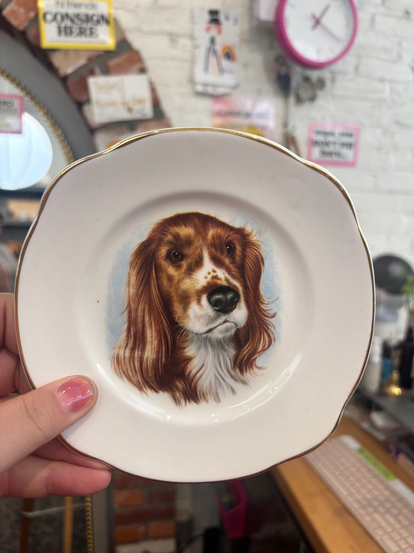 small dog face VINTAGE bone china plate