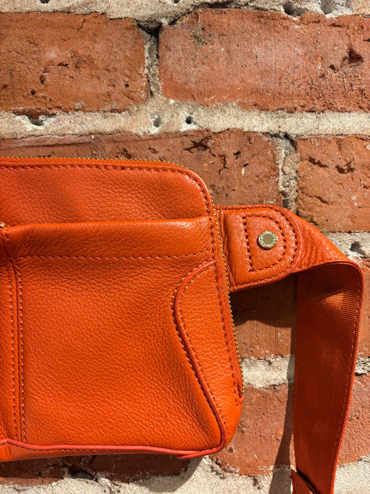 Danier leather belt bag