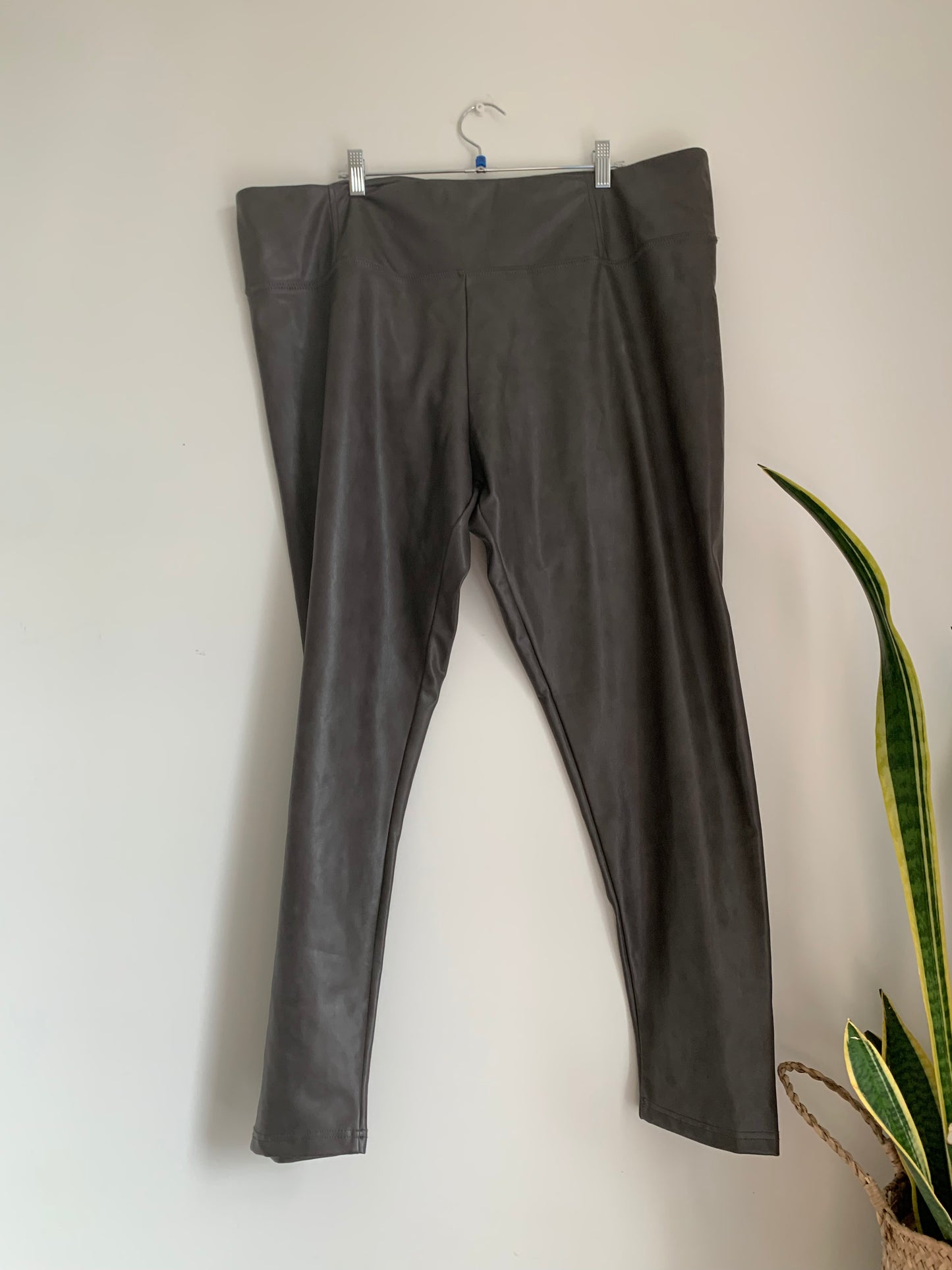 Size 3X Leggings -7 for all mankind