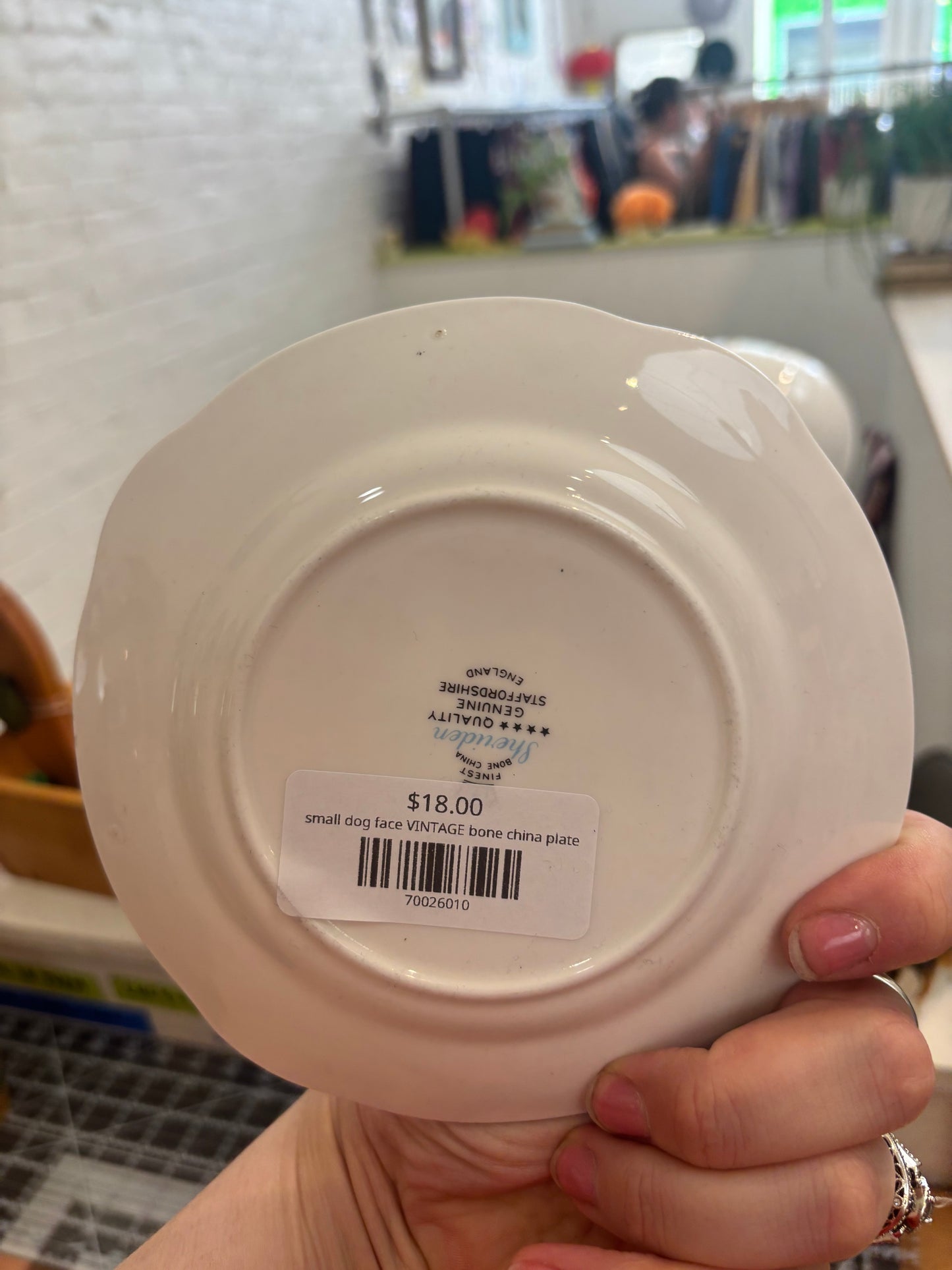 small dog face VINTAGE bone china plate